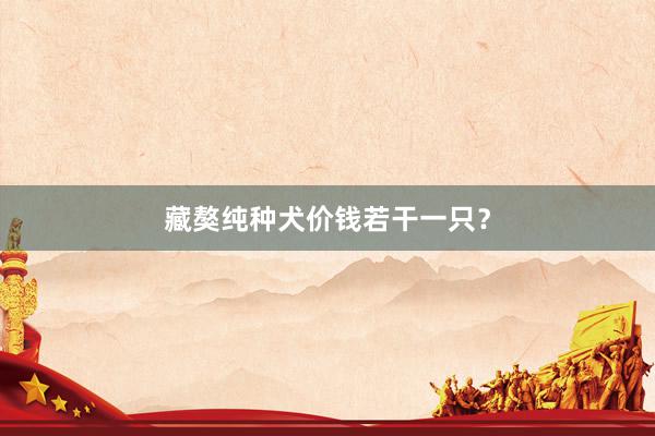 藏獒纯种犬价钱若干一只？